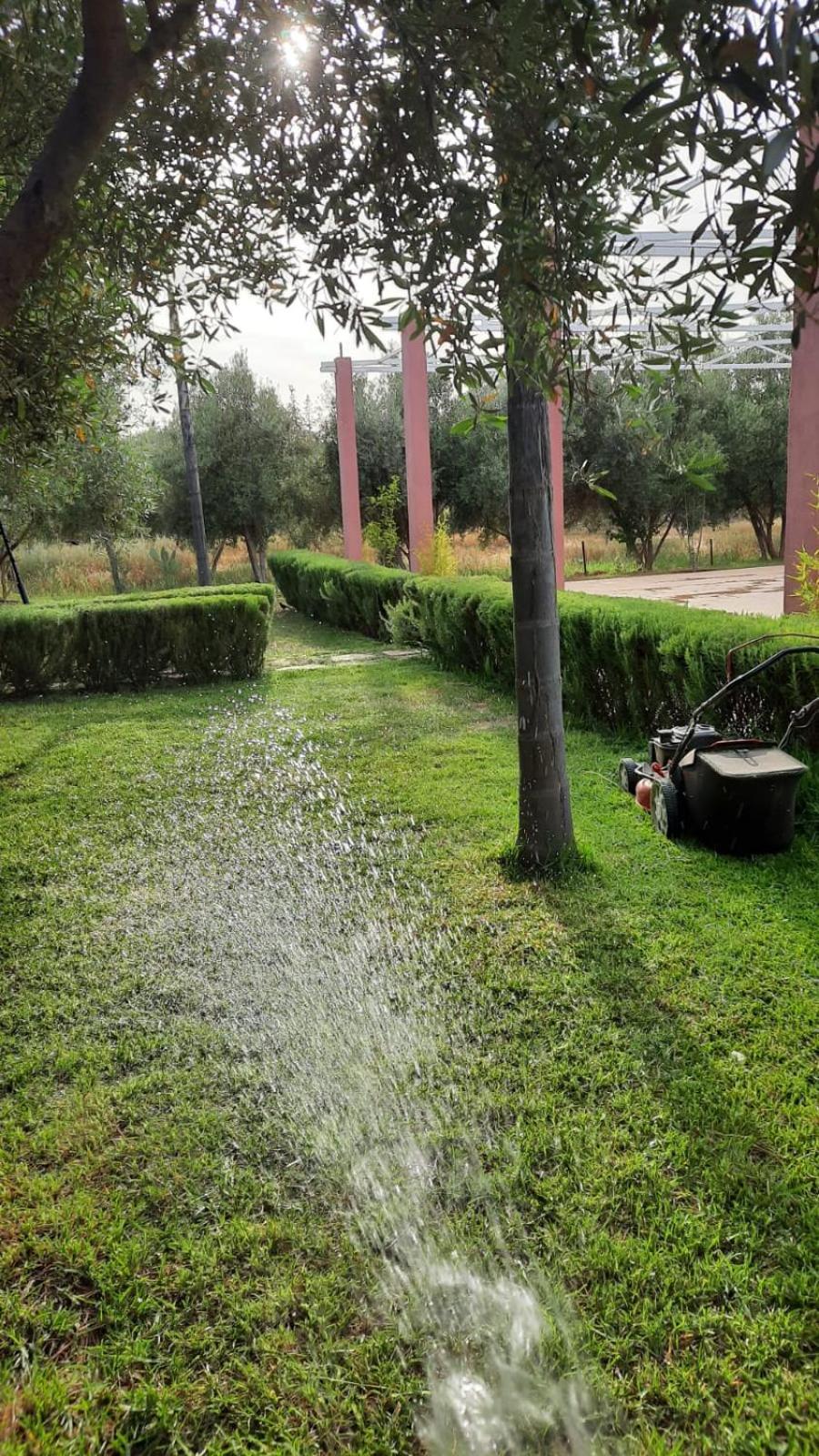 פס Maison D'Hotes La Ferme Aziza מראה חיצוני תמונה