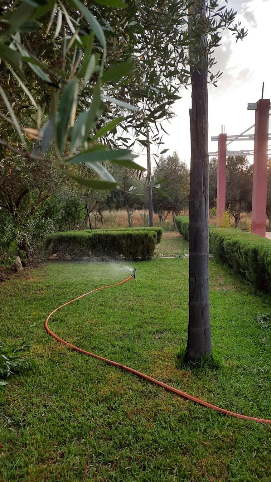 פס Maison D'Hotes La Ferme Aziza מראה חיצוני תמונה