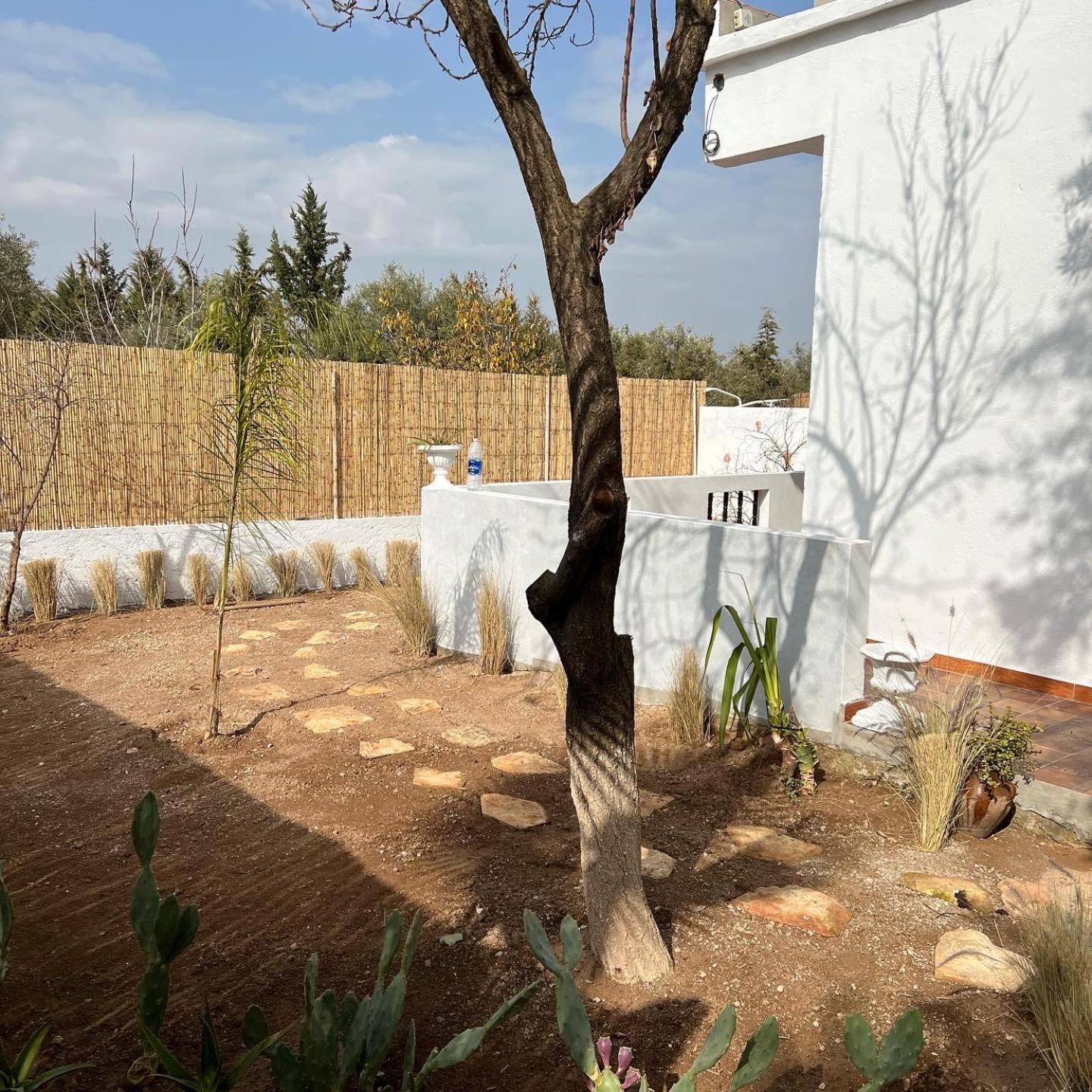 פס Maison D'Hotes La Ferme Aziza מראה חיצוני תמונה