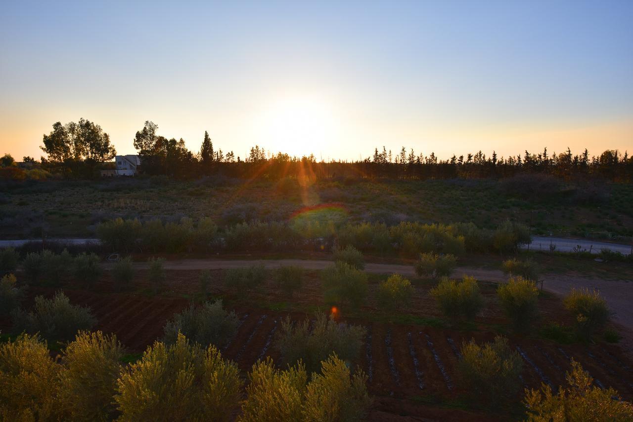 פס Maison D'Hotes La Ferme Aziza מראה חיצוני תמונה